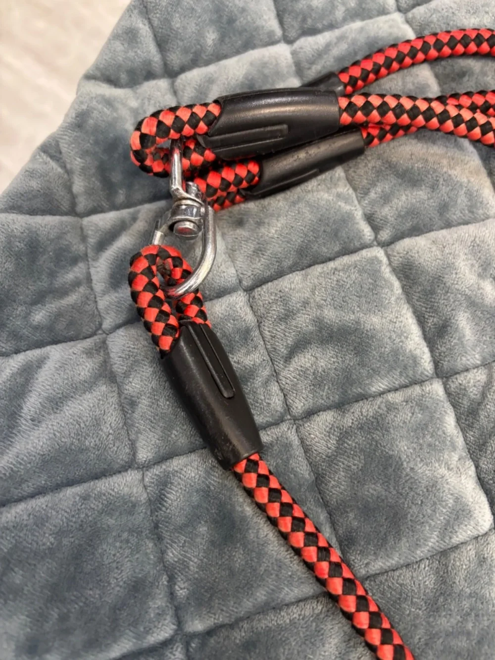 N/A adjustable dog